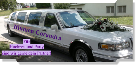 Blumen Corandra Für Hochzeit und Party sind wir gerne dein Partner!