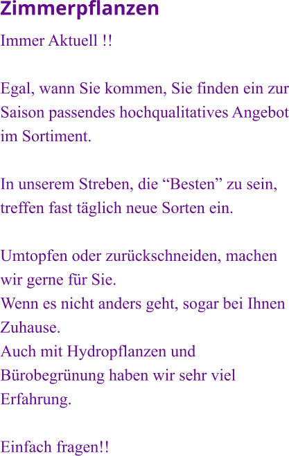 Zimmerpflanzen Immer Aktuell !!  Egal, wann Sie kommen, Sie finden ein zur Saison passendes hochqualitatives Angebot im Sortiment.  In unserem Streben, die “Besten” zu sein, treffen fast täglich neue Sorten ein.   Umtopfen oder zurückschneiden, machen wir gerne für Sie. Wenn es nicht anders geht, sogar bei Ihnen Zuhause.  Auch mit Hydropflanzen und Bürobegrünung haben wir sehr viel Erfahrung.  Einfach fragen!!