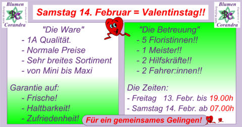 Was wir bieten