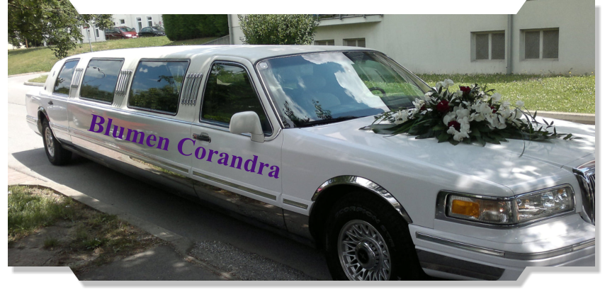 Blumen Corandra